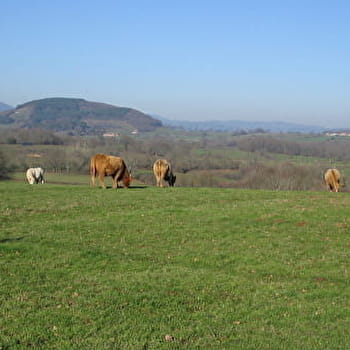 En montant à Dône - THIL-SUR-ARROUX