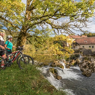 Les Pertes de l'Ain à VTT - 62B