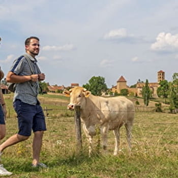 Digoin - Mâcon : Le Brionnais, champêtre et gourmand - DIGOIN