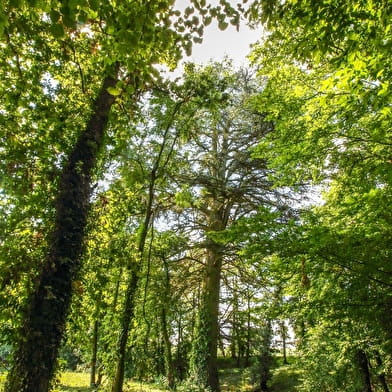 Circuit les Béragnons