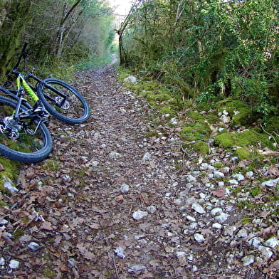 Circuit VTT n°4 (rouge) - Forêt et contreforts du Revermont