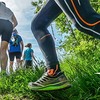 Parcours trail 2 vert - Fort de Chaudanne - BESANCON