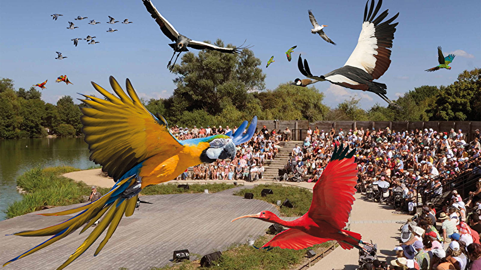Circuit l'Ain à vélo - De Villars-les-Dombes à Ars-sur-Formans