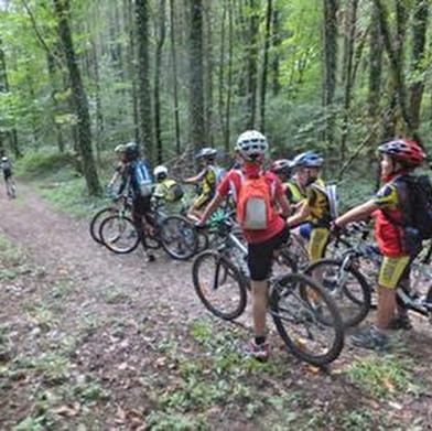 Parcours VTT 1 vert - La forêt de Rothonne : Le Renard - Espace FFC Ain Forestière