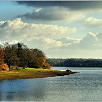Grand tour du Lac du Bourdon - SAINT-FARGEAU