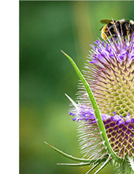 Boucle cyclo 11 'Forêts, prairies et vallons' - BESANCON
