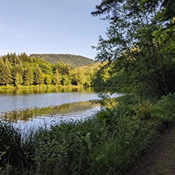 Le Grand Rosbeck (petit circuit) - MELISEY