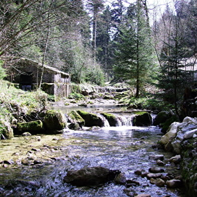 Dans la forêt, coule la Sarsouille - Parcours marche nordique n°1