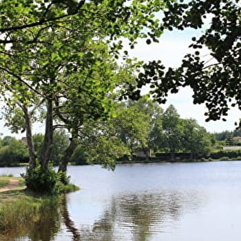 Circuit de randonnée : Boucle du bois de Marcioux - LORMES