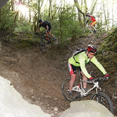 Parcours VTT 5 rouge - Le lac d'Armaille - Espace FFC Ain Forestière