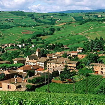 La promenade du Bois de Fée - LEYNES