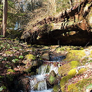Sentier de decouverte des pierres-de-rouge -
