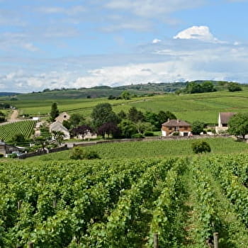 Santenay, la ville d’eau au pays du vin - SANTENAY