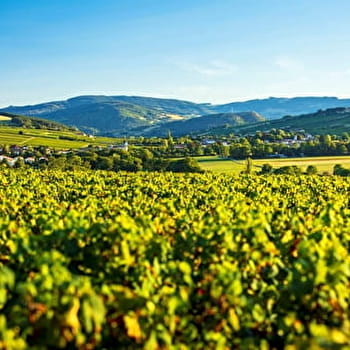 Le Mont de la Fâ - VERZE