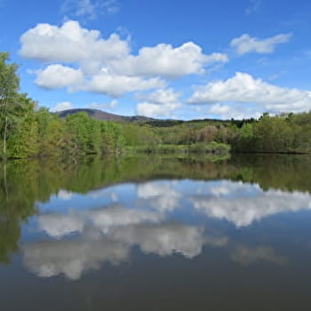 Les Oeufs frais - BELFORT