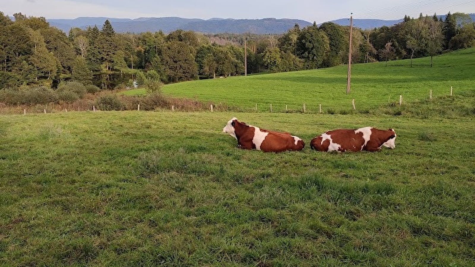 Le Pré d'Oro (circuit bis)