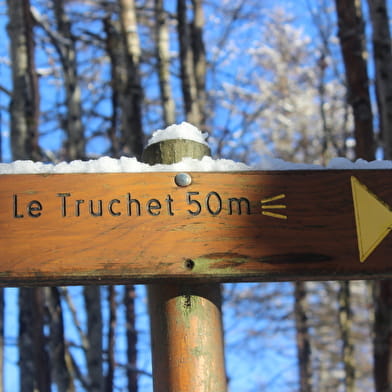 Sentier raquettes : Le belvédère du Truchet