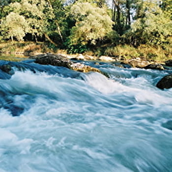 Faune et flore de la Loue - OUNANS
