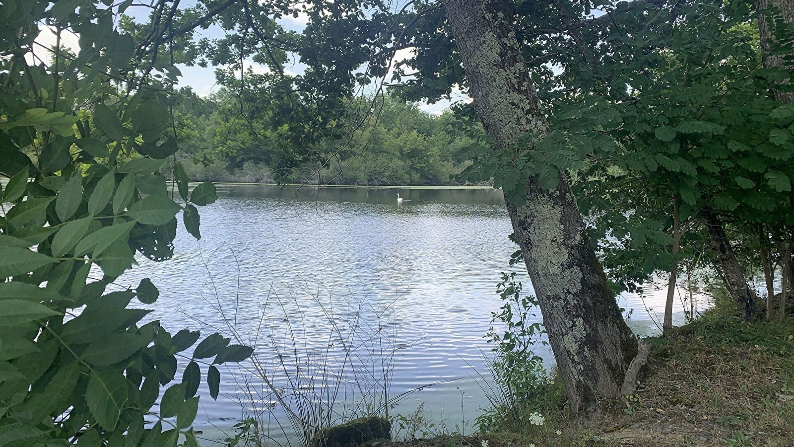 Randonnée : Sentier des Sources libres