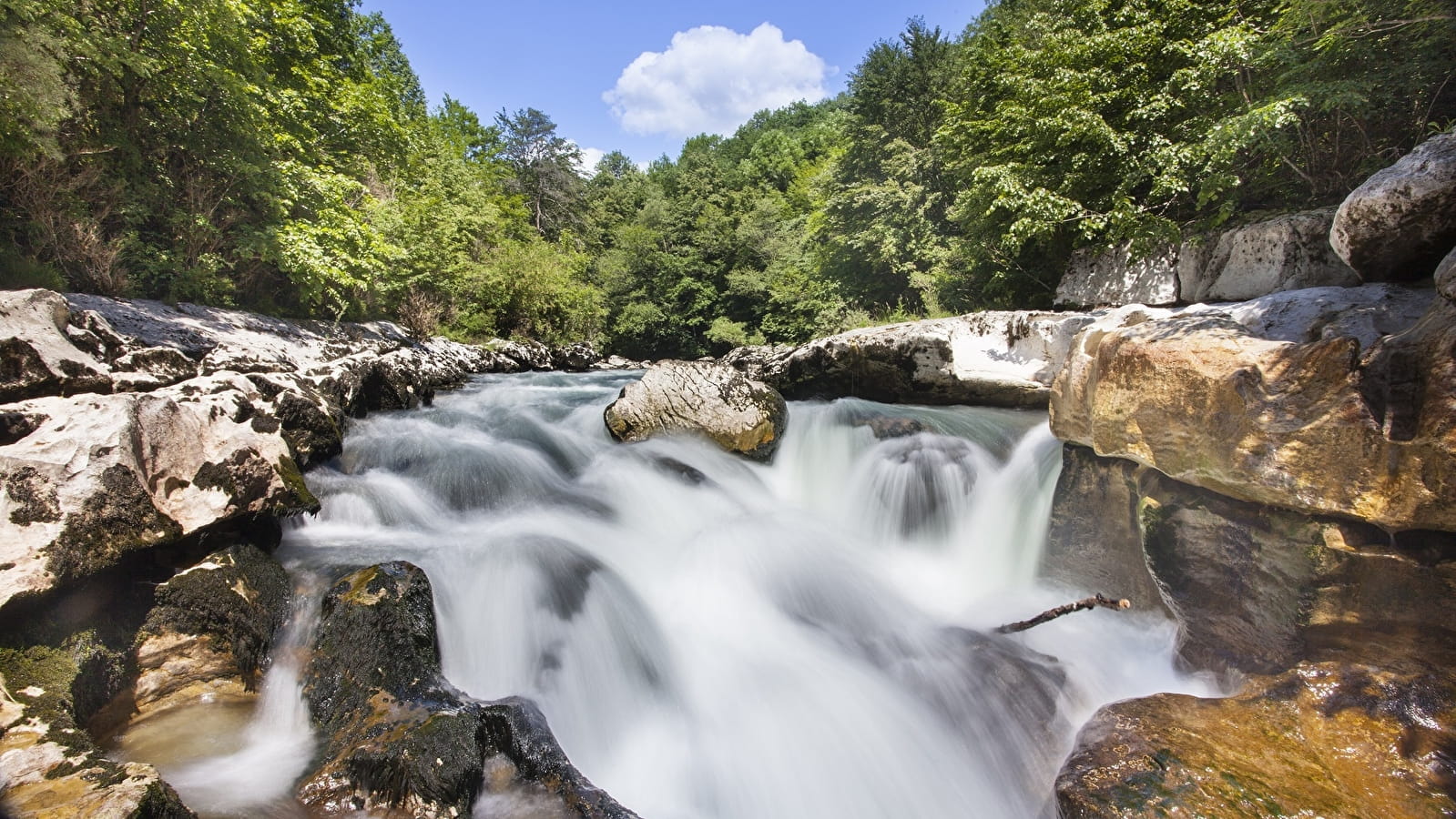 Parcours VTT 23 rouge - Pertes de la Valserine - Espace FFC Ain Forestière