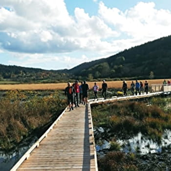 La boucle d'initiation du Tour des marais - Parcours marche nordique n°10 - PLATEAU D'HAUTEVILLE