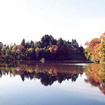 Contrefort du Charollais - DL02 - DOMPIERRE-LES-ORMES