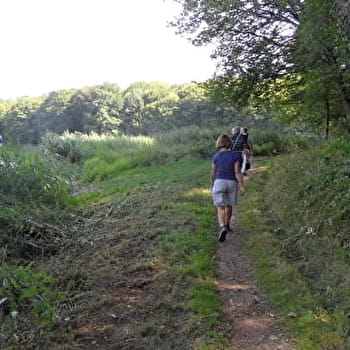 Randonnée à La Machine / Circuit jaune - LA MACHINE