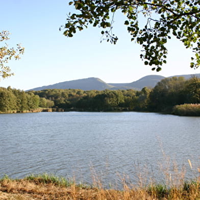 Balade - Tour du plan d'eau de la Grange du Pin