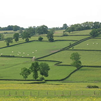 Paray-le-Monial : circuit n°12 - Monts et vallées en Charolais-Brionnais - PARAY-LE-MONIAL