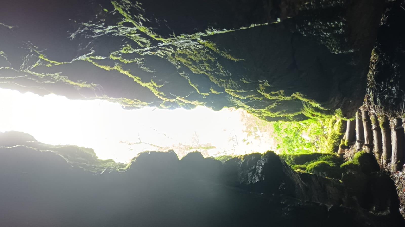 Sentier Karstique du Grand Bois