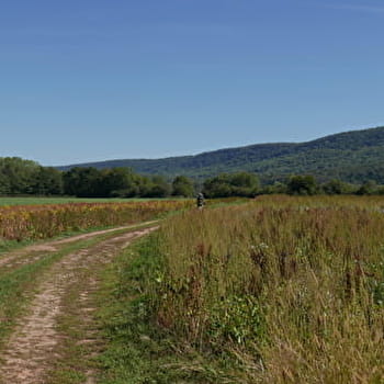 L’Ognon fait la force - LES AUXONS