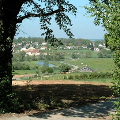 Lavoirs et Fontaines