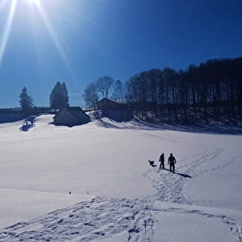 Itinéraire Raquettes du site de Lachat 'Les Orgières' - HAUT VALROMEY