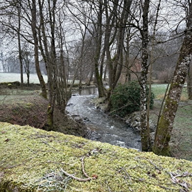 Balade Verte - Le grand Mornay (M2)