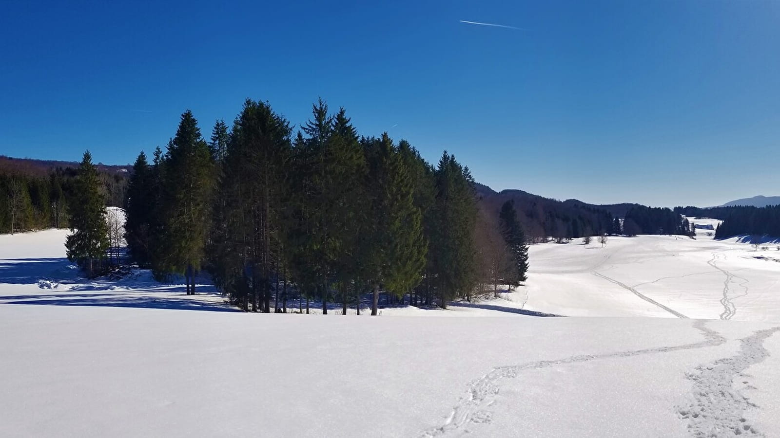 Itinéraire Raquettes du site de Lachat 'Le Nerbier'