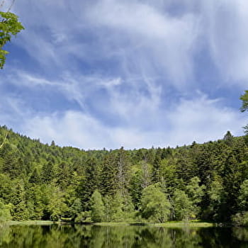 La vallée de la Savoureuse - LEPUIX