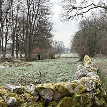 Balade Verte - Le grand Mornay (M2) - MORNAY