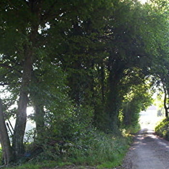 Luxiol - n°67 - BAUME-LES-DAMES