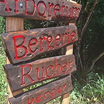 Sentier botanique de Bithaine - ADELANS-ET-LE-VAL-DE-BITHAINE
