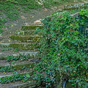 Le Thabor - FONTAINES