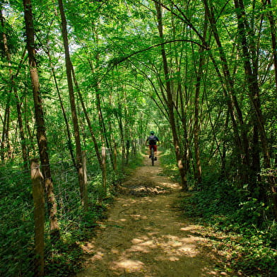 GTML – Le Grand Tour des Monts du Lyonnais