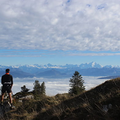 Randonnée itinérante : le balcon du Léman