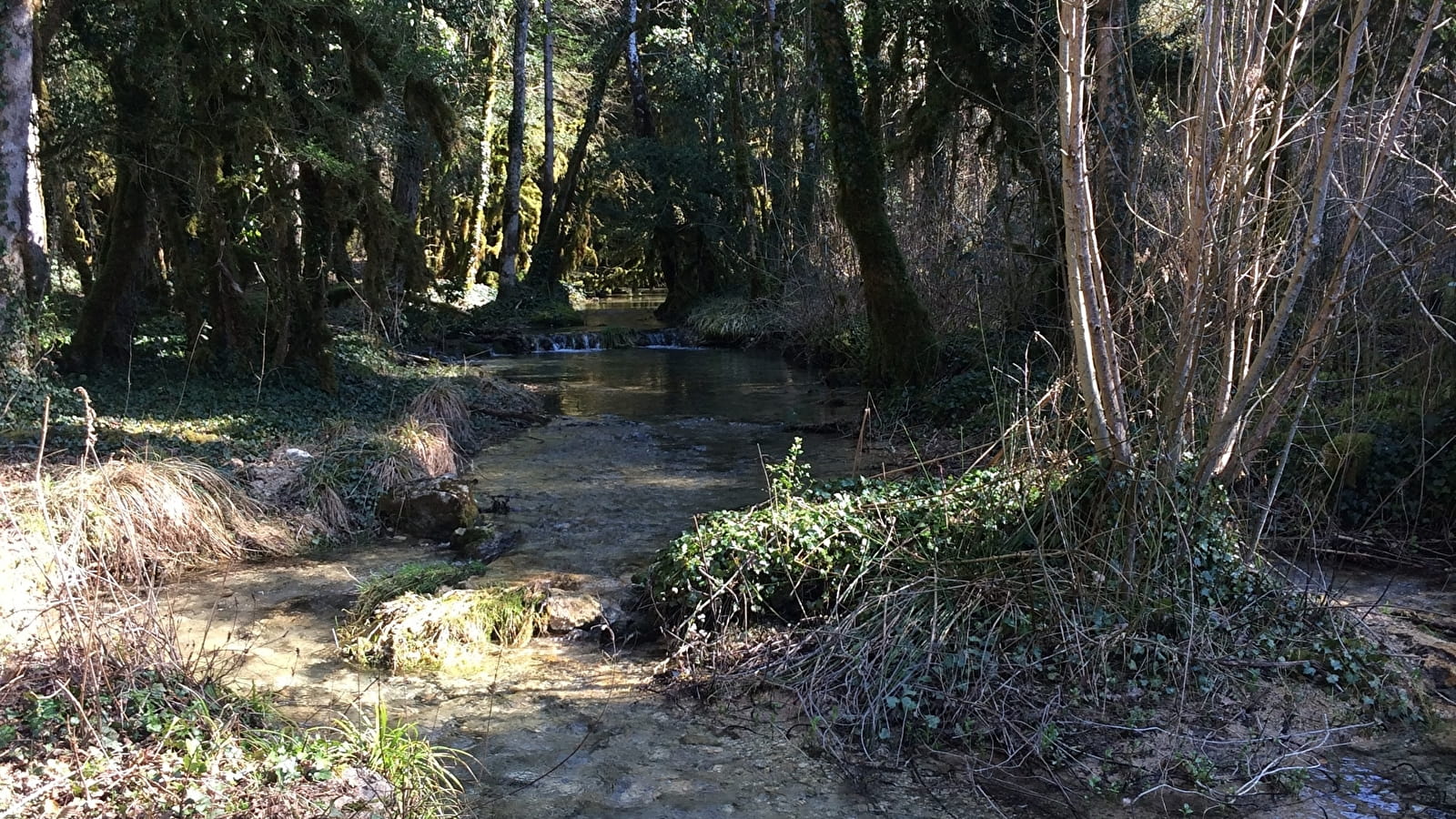 L'Izernore trail - Parcours de trail n°13