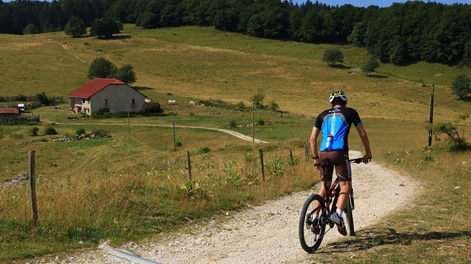 Parcours VTT 12 vert - Les balcons des Plans - Espace FFC Ain Forestière