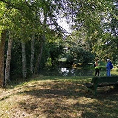 Le circuit des Forges Royales