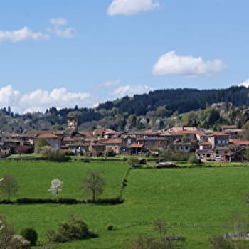 Circuit 12 Par la vierge du Mont Joly - POULE-LES-ECHARMEAUX