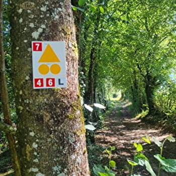 Circuit VTT-VTC n°6 (rouge) Chemins des bois de Bresse - BRESSE VALLONS