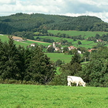 Le Tour de l'Argolay - CHATENAY