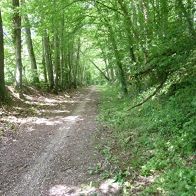 Découvrir Toucy en famille