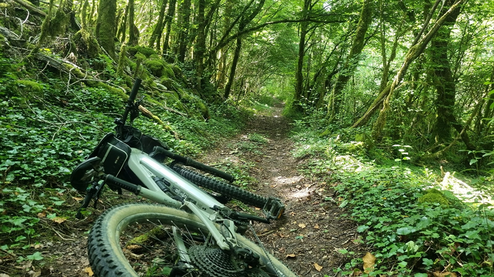 Circuit VTT n°7 (rouge) - Côtes de Villereversure, terres à Comté